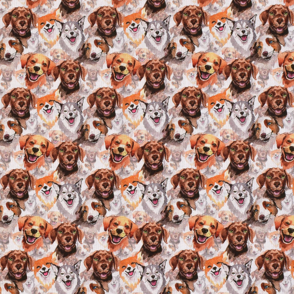 Baumwollstoff Hund Hundegesichter "Petite Dogs" Webware