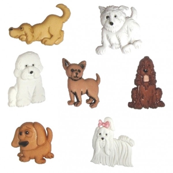Knöpfe Hund Hunde Puppies