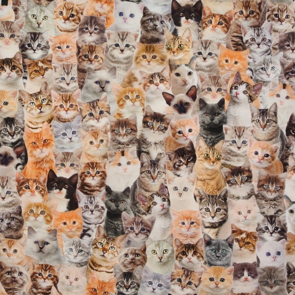 1 m Dekostoff Katzen Kätzchen