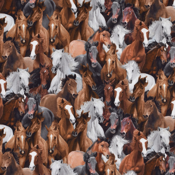 Patchworkstoff wilde Pferde Pferde Fohlen Wild Horses Baumwollstoff