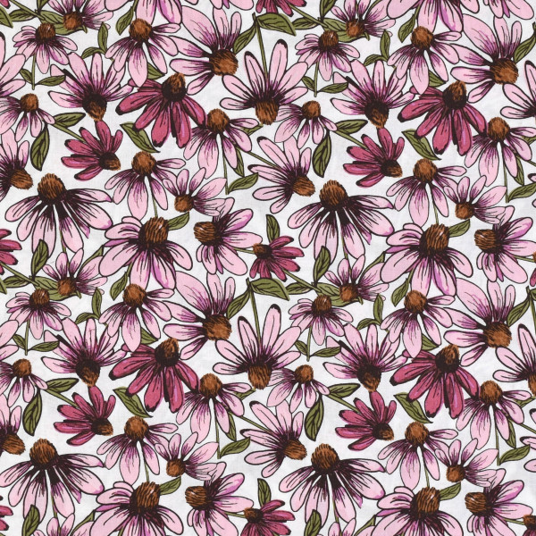 Patchworkstoff Sonnenhut Echinacea Coneflower Corral weiß