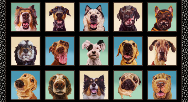 0,6 m Patchworkstoff Hunde "Follow you Nose" Bilder Panel schwarz