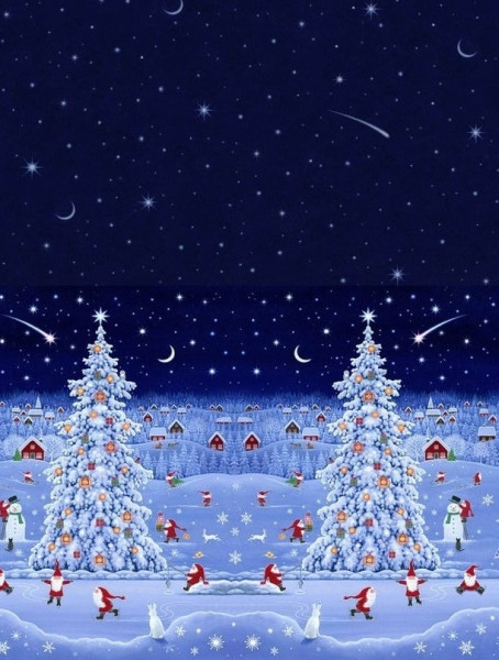 0,45 m Patchworkstoff Bordüre Tomte Weihnachten Forest Friends"