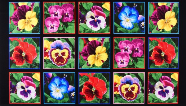 Panel Stiefmütterchen Blumen Lovely Pansies Garten Webware