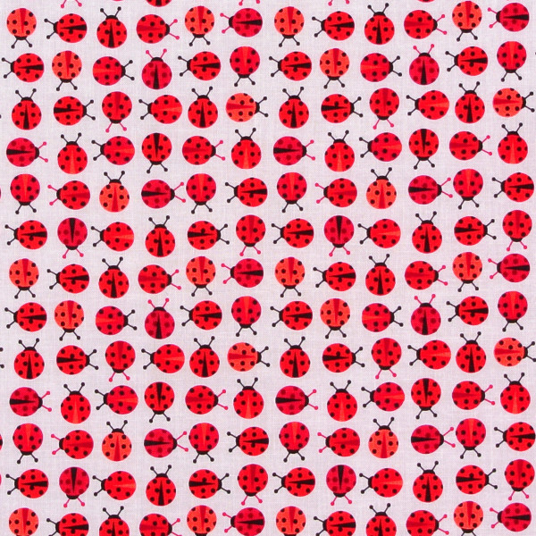 Marienkäfer Zoologie mini rot