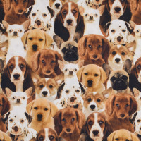 Patchworkstoff Hund Hunde Welpen "Puppies" Webware Patchworkstoff Hund Hunde Welpen "Puppies" Webware