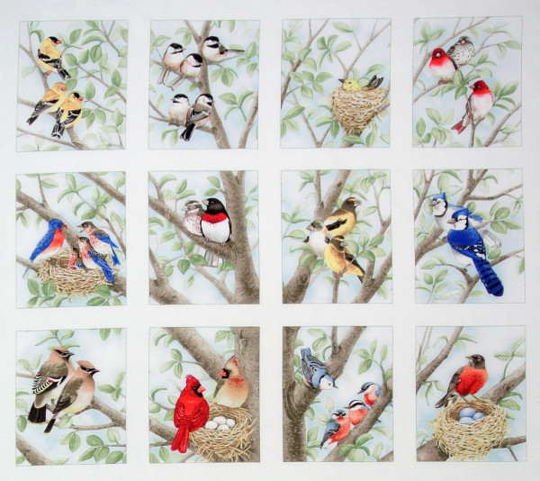 0,6 m Patchworkstoff Beautiful Birds Singvögel Panel Webware