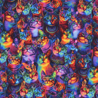 Patchworkstoff Katzen Animal Print Regenbogen "Wildcats" Patchworkstoff Katzen Animal Print Regenbogen "Wildcats"