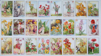 0,60 m Patchworkstoff Flower Fairies Elfen ABC Fairies Panel 0,60 m Patchworkstoff Flower Fairies Elfen ABC Fairies Panel