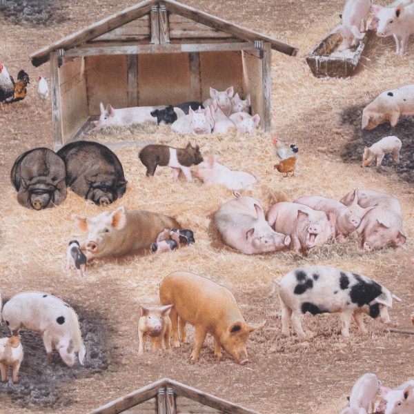 0,6 m Patchworkstoff Schweine Bauernhof Farm Animals