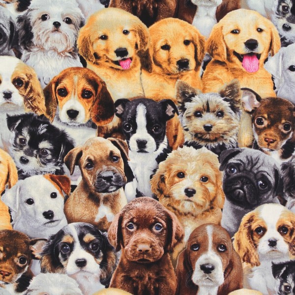 Patchworkstoff Hunde Hundewelpen Adorable Pets