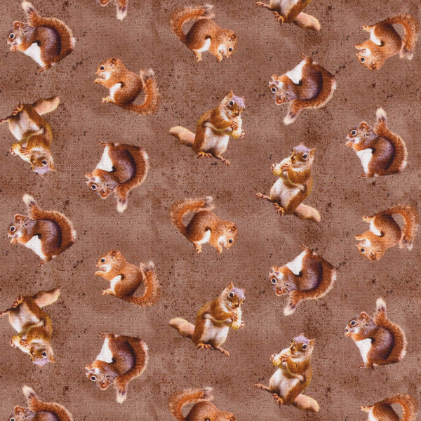 Patchworkstoff Eichhörnchen "The Secret Life of Squirrels III" braun