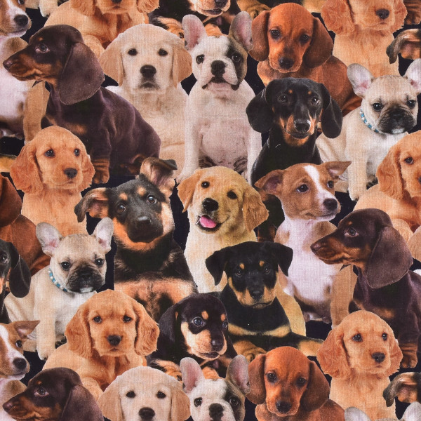 Baumwollstoff Hund Hunde Welpen "Trend Puppies" Webware