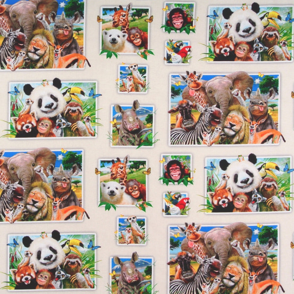 Zoo Selfies witzige wilde Tiere Bilder