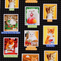 Sale Patchworkstoff witzige Katzen Bilder Eat Drink and be Funny Sale Patchworkstoff witzige Katzen Bilder Eat Drink and be Funny