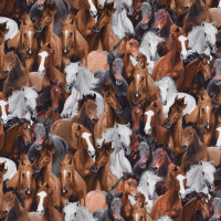 Patchworkstoff wilde Pferde Pferde Fohlen Wild Horses Baumwollstoff Patchworkstoff wilde Pferde Pferde Fohlen Wild Horses Baumwollstoff