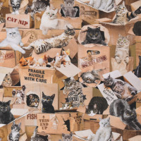 Patchworkstoff Katzen Katzenstoff Cats in Boxes Webware Patchworkstoff Katzen Katzenstoff Cats in Boxes Webware