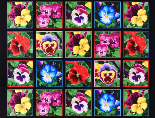 0,75 m Panel Stiefmütterchen Blumen Lovely Pansies Garten-Copy