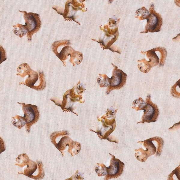 Patchworkstoff Eichhörnchen "The Secret Life of Squirrels III" beige