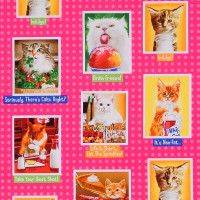 Sale Patchworkstoff witzige Katzen Bilder Eat Drink and be Funny pink Sale Patchworkstoff witzige Katzen Bilder Eat Drink and be Funny pink